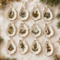 Twelve Days of Christmas Seashell Collection